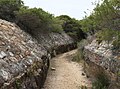 Tram line malabar battery.jpg