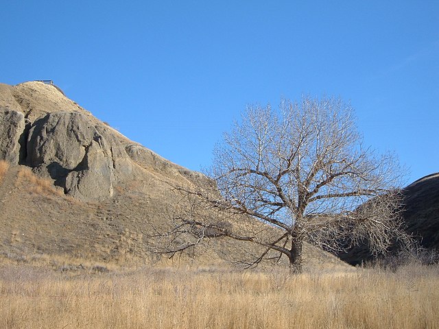 A view upward into a coulee in the Oldman River valley in Lethbridge, Alberta