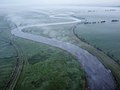 Die Treene im FFH-Gebiet Treene Winderatter See bis Friedrichstadt und Bollingstedter Au