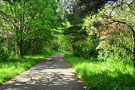 The trail itself diverges from the river here. This view looks north (backward from the sequence of these photos).