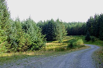 Tywi Forest, Wales Tywi Forest road, Ceredigion - geograph.org.uk - 1510647.jpg