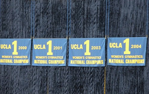 NCAA Gymnastics Championship banners