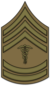 US Army OD Chevron Hospital Sergeant 1916-1918.png