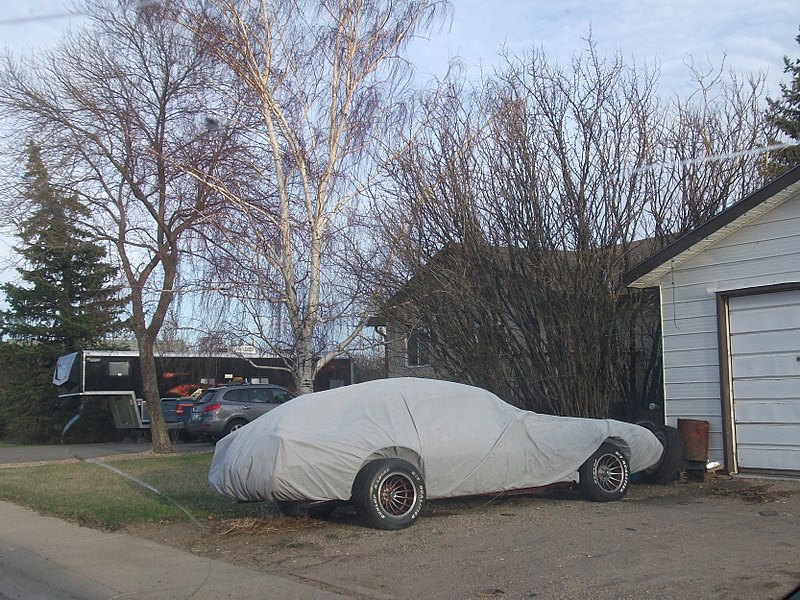 File:Undercover Pontiac Firebird (6972479684).jpg