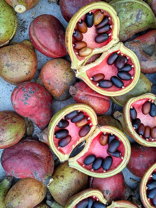 Unidentified fruit in a Dhaka market, Bangladesh. ( 01.02.2019.).jpg