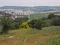 View of Beit Shemesh from Beit Jamal.jpg