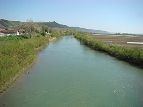 Râul Arieș la Viișoara