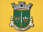 Vila Verde coat of arms