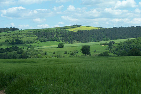 WAK LAUCHRÖDEN STECHBERG2