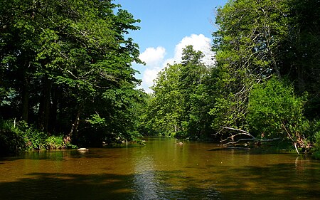 Watauga River-27527.jpg