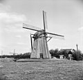 De molen.