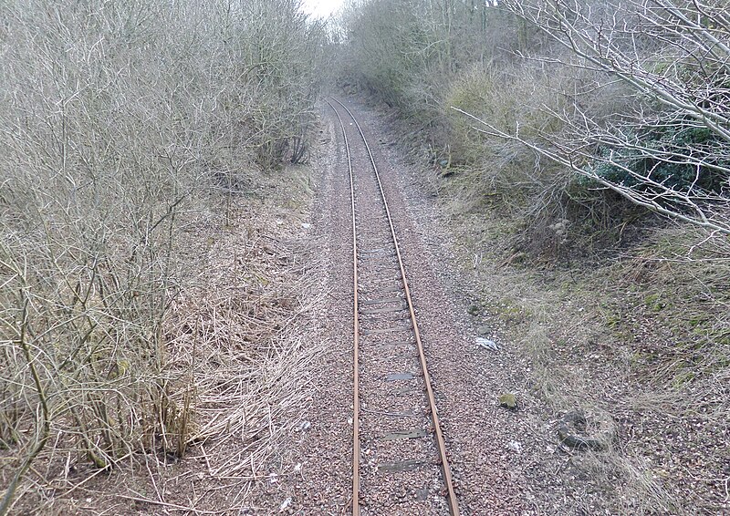 File:Weston Bridge Platform site, Annbank, East Ayrshire - view towards Trabboch.jpg