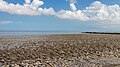 Wierum (Noardeast-Fryslân), zicht op de Waddenzee vanaf de zeedijk. (slikvelden)