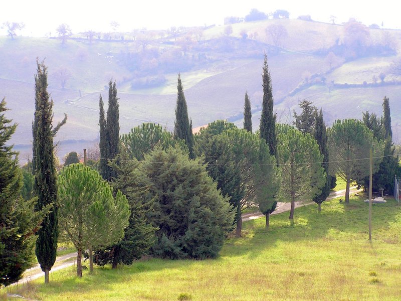 File:Winterlandschaft in der Toscana.jpg