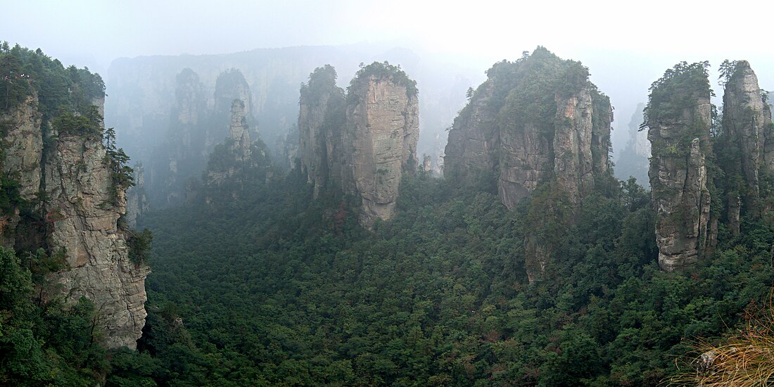 Guizhou Plateau broadleaf and mixed forests