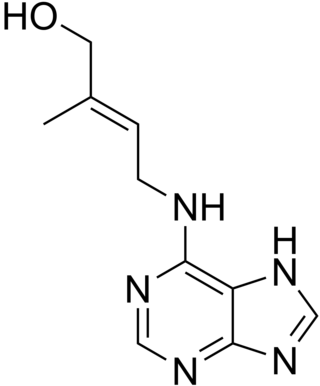 <span class="mw-page-title-main">Cytokinin</span> Class of plant hormones promoting cell division