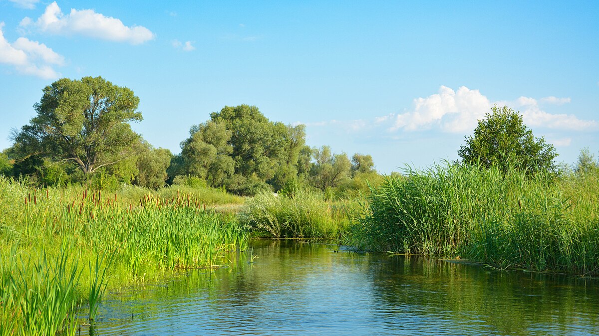 Река Кумылга Волгоградская область