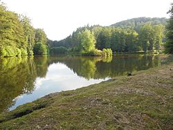 Lambach ve Lemberg arasındaki gölet