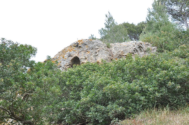 File:Île de Porquerolles, Hyères, Provence-Alpes-Côte d'Azur, France - panoramio (13).jpg