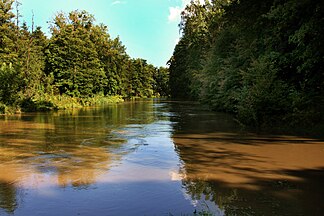 Rivière Łyna (Alle) près de Bartoszyce (Bartenstein)