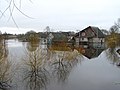 Жимо верси 2017, 13 март, 10:48