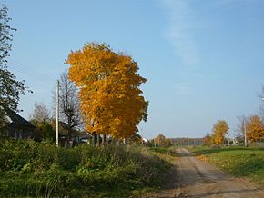 д. Никулино, дорога на Шанский Завод