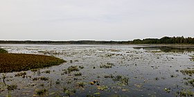 Южная часть озера в начале осени 2018 года.