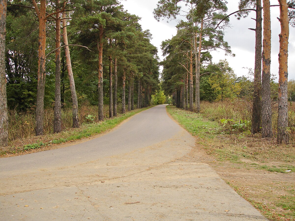 Бутовский лесопарк фото