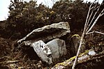 .Ballynasilloge - Portal Tomb.jpg