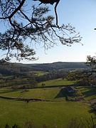 Vue du perchoir.