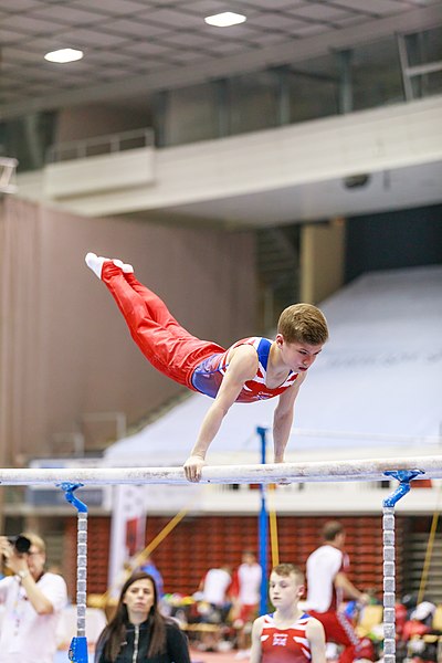 File:15th Austrian Future Cup 2018-11-24 Liam Jury (Norman Seibert) - 10900.jpg