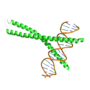 Thumbnail for CCAAT-enhancer-binding proteins