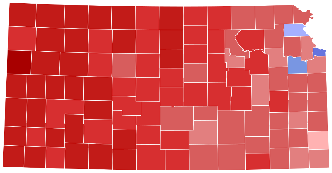 2008 United States Senate election in Kansas