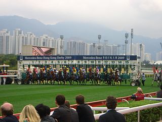 Hong Kong Derby Horse race