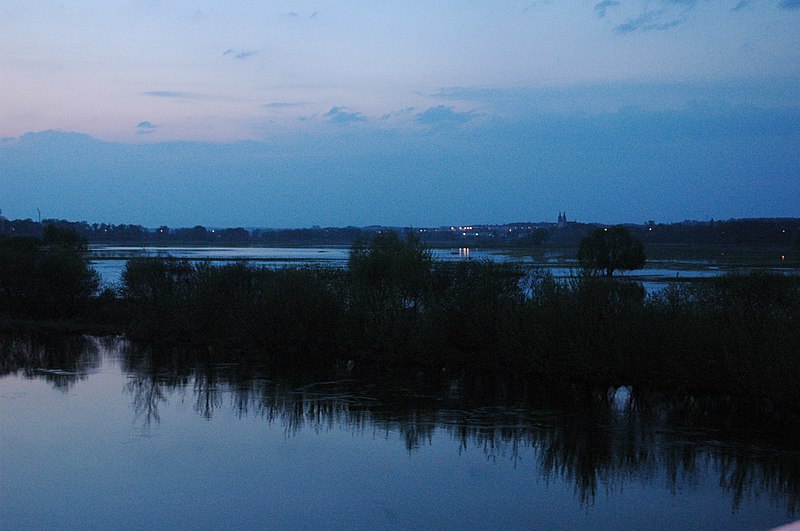 File:2011 Łomża, Narew - panoramio (2).jpg