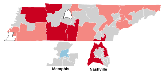 2012 Tennessee Senate election.svg