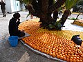 Fête du citron à Menton (France) le 4 mars 2013. Un employé remplace les fruits manquant