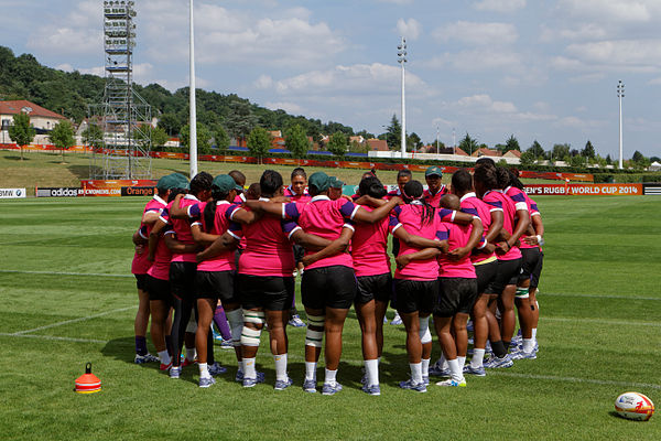 South Africa at the 2014 Women's Rugby World Cup