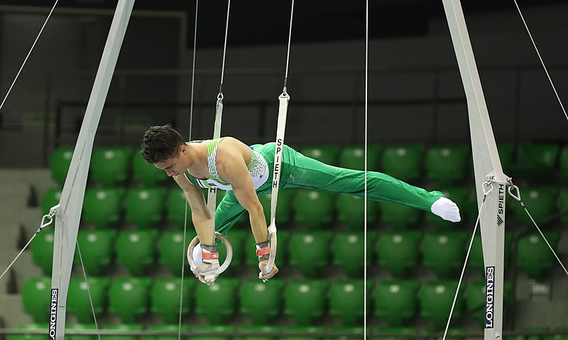 File:2019-06-27 1st FIG Artistic Gymnastics JWCH Men's All-around competition Subdivision 3 Still rings (Martin Rulsch) 123.jpg