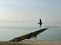 20190717 IJsselmeer11.jpg