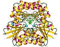 Thumbnail for Phosphomannomutase