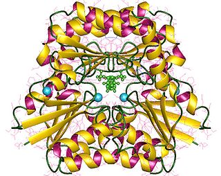 <span class="mw-page-title-main">Phosphomannomutase</span>