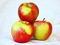 Thumbnail for File:3 Pommes Honeycrisp.JPG