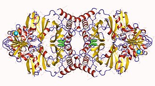 Prephenate dehydratase