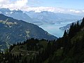 File:5809 - Schynige Platte - View toward Thunersee, Dreispitz, and Morgenberghorn.JPG