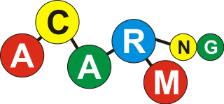 <span class="mw-page-title-main">ACARM-ng</span> Computer network software