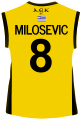 [[file:AEK_Basketball_Club_Home_jersey_(Back_view).svg]]