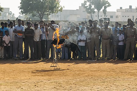 A dog jumping through a ring of fire at a Republic Day celebration in Nagapattinam