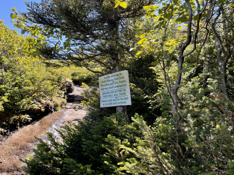 File:Adirondack Alpine Zone.png