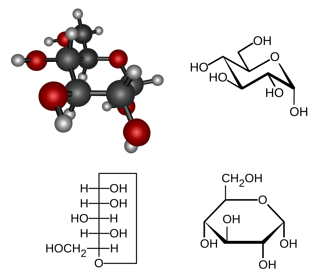 Molecuul